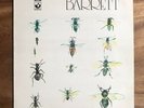 Syd Barrett Barrett Original 1970 A1/B1 Vinyl LP.