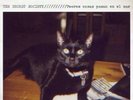 The Secret Society ? Peores Cosas Pasan en el Mar ? New Sealed Import Vinyl LP????