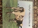 PINK FLOYD atom Heart Mother Vinyl Lp First Press Vg+ Psych Prog Rare SMAS-382