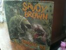 SAVOY BROWN LOOKING IN LP UK P-1W 1970 NOT PLAY TESTED LISTING AS FAIR CONDITION