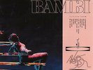 Hippo Campus Bambi LP New Sealed