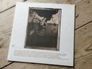Surfer Rosa by Pixies , Vinyl