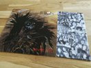 PROTECTOR - URM THE MAD / 89 DE LP / OIS / DEATH METAL / ATOM