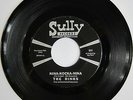 The DINKS: Nina-Kocka-Nina / Penny A Tear Drop -- M- Sully 60s Garage Punk