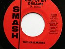 HALLMARKS Garage Rock 45rpm Girl of My Dreams/Soul Shakin Psychedlic Sally HEAR