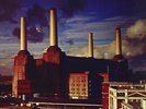 Pink Floyd **Animals *BRAND NEW 180 GRAM RECORD LP VINYL