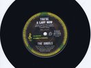 The Angels- You're a Lady Now rare “A” label promo - ALBERT RECORDS 1977 (Aus)