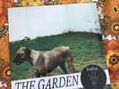 THE GARDEN - Haha LP PUNK Burger Records EXPERIMENTAL NO WAVE vinyl  MAC DEMARCO