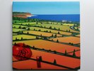 Lemon Jelly - Lost Horizons LP 2x Vinyl Album original 2002 UK press