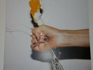 Yeah Yeah Yeahs ?– It's Blitz   - LP