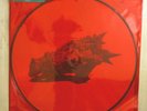 ROCK LP - ALICE IN CHAINS - THE DEVIL PUT DINOSAURS HERE 2xLP Picture Disc New