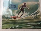The Beach Boys 20 Golden Greats blue  Vinyl LP  Pristine Vinyl Hardly Played