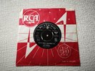 THE IGUANAS This is What I Was Made For 1965 POP Garage Rock RCA Victor 7