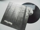 THE CURE: A Forest ( 1st PRESS UK 12