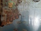 Sapo LP VG+/VG+ Latin Jazz Funk Bell 2308-088 Guatamala Press