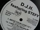 DJ H Feat Stefy - Move Your Love / I Like It - 12