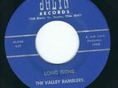OH Bluegrass The Valley Ramblers JALYN 318 Long gone / I can't go on this way ?