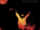 DISCOURAGED ONES [8/2] NEW VINYL