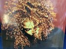 BRAND NEW LIMITED EDITION JANET JACKSON THE VELVET ROPE DOUBLE DEEP RED VINYL