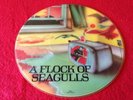 A FLOCK OF SEAGULLS SELF TITLED 1982 PICTURE DISC RARE LP VINYL FREE POSTAGE