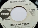 Barbara Banks - VEEP Promo - River of Tears / Living In The Past - Northern