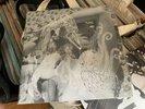 Bjork Vespertine and Homogenic Ltd Edition Color Vinyl Bundle LP 2015 Rare
