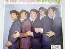 The Mojos Working Original 12