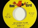 Roddie Joy 