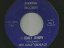 GARAGE ROCKER - the BUSY SIGNALS - I DONT KNOW  - HEAR 1965 FLORIDA MARINA