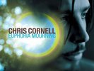 Chris Cornell - Euphoria Mourning - LP Vinyl - New