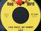 006 - Like What, Me Worry/ Why Can't I Stay - Red Bird 10-66 - Garage - Listen