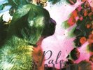 PALE SAINTS - THE COMFORTS OF MADNESS (30TH ANNIVERSARY) (2 LP) NEW VINYL