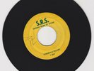 S.R.S./ SIDEWALK KILLER  -  I ROY (72 REGGAE ROOTS 7