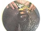 W.A.S.P. ANIMAL (F*CK LIKE A BEAST) EP PICTURE DISC
