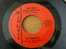 DRAMATICS - INKY DINKY WANG DANG DOO