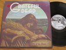 Rare Vintage Vinyl-Grateful Dead-Wake of The Flood-Grateful Dead Records GD-01