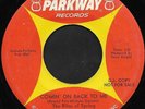 THE RITES OF SPRING (Parkway)  - Rare 60's USA Garage Psych 45