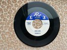 45 RPM Sally Mae by Casanova Jr on Port Records VG+