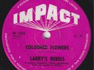 LARRY'S REBELS Coloured Flowers RARE NZ New Zealand PSYCH GARAGE 45 Fantasy HEAR