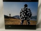 Pink Floyd Delicate Sound Of Thunder 7914801 Vinyl Record