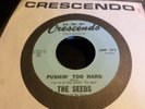 The Seeds Feat. Sky Saxon ?– Pushin' Too Hard  45 MINT 1966 Garage Rock