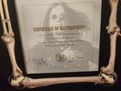 OZZY OSBORNE SEE YOU ON THE OTHER SIDE LTD.-EDITION AUTOGRAPH COLLECTORS BOX