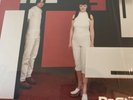 WHITE STRIPES De Stijl LP V2/Third Man PRESS Great Condition