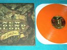 NEW FOUND GLORY Not Without a Fight ORANGE MARBLE VINYL New Un-Sealed NM/NM