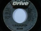 Modern Soul 45 WIZDOM I'm So In Love With You DRIVE HEAR