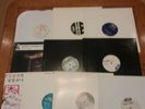 Dj Icey Florida Breaks 10 Record Lot