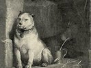 Pavlov`s Dog-Pampered Menial (1LP Coloured) (UK IMPORT) VINYL NEW