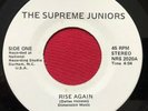 THE SUPREME JUNIORS   RISE AGAIN   RARE PRIVATE BLACK GOSPEL SOUL 45 DURHAM, NC