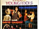 Monkees David Cassidy Partridge Family Davy Jones