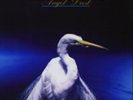 Faith No More-Angel Dust (UK IMPORT) Vinyl / 12
